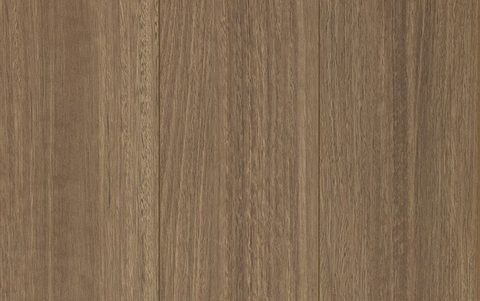 Suncrest Spotted Gum