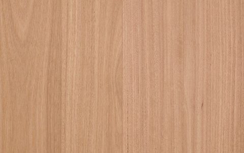 Brushed Blackbutt