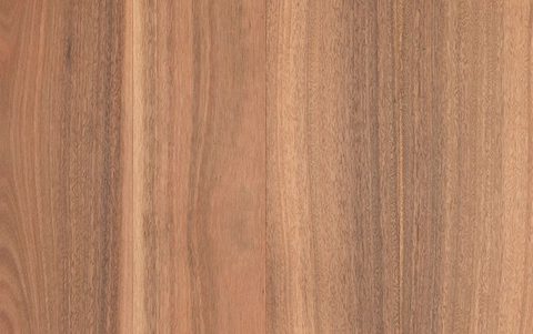 Brushed Spotted Gum