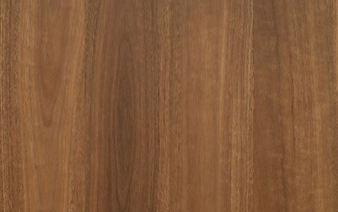 Spotted Gum
