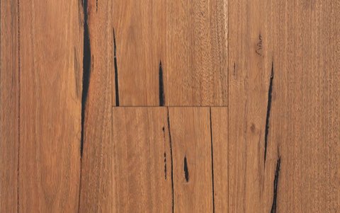 Spotted Gum 189mm