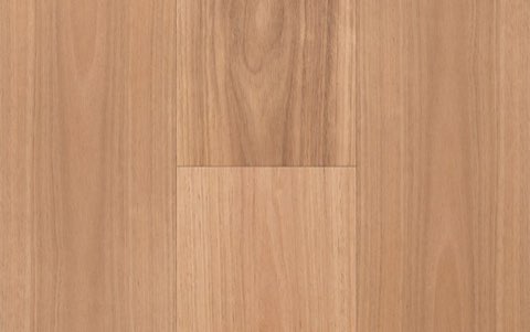 Blackbutt 189mm