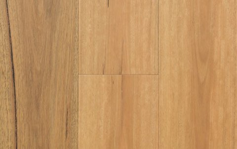 Spotted Gum 189mm
