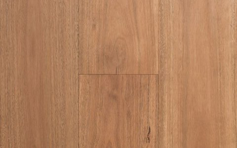 Spotted Gum 189mm