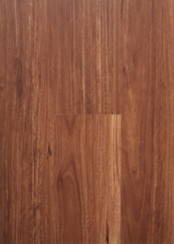 Warm Spotted Gum