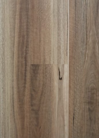 Wild Spotted Gum Long Board
