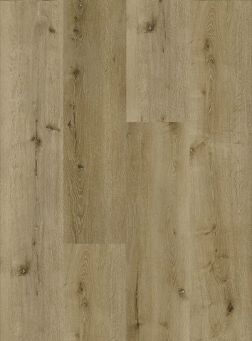 Chelsea Oak