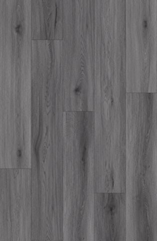 Dim Grey