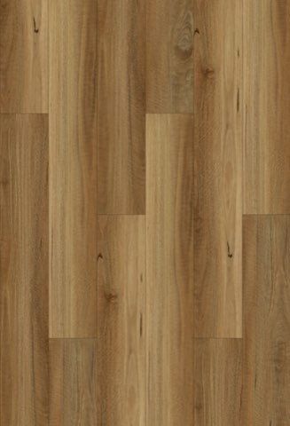 NSW Spotted Gum