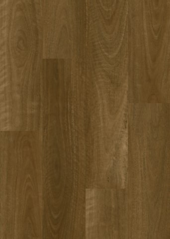 Smoked Spotted Gum