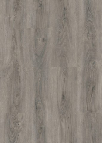 Dove Grey