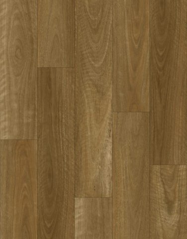 Native Spotted Gum