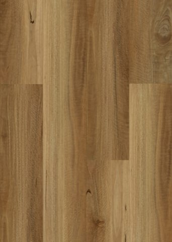 NSW Spotted Gum