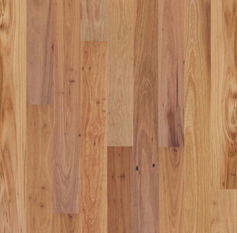 Blackbutt Wide