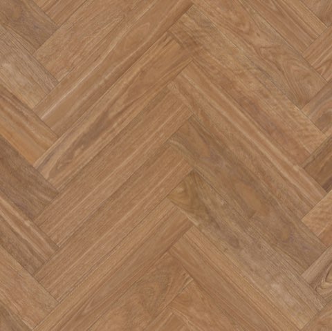 Spotted Gum