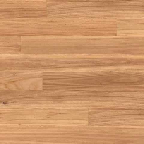 Blackbutt engineered hardwood board