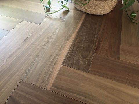 Spotted Gum (LEFT)