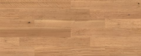 Blackbutt