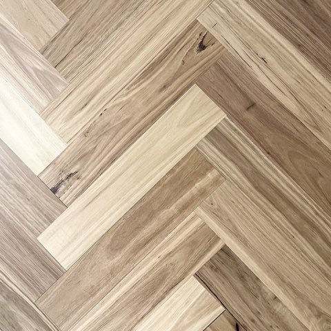 Blackbutt
