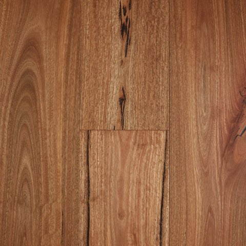 Gum Rustic Spotted