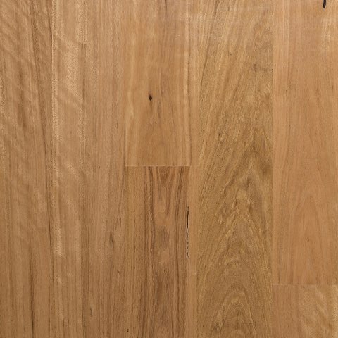 Blackbutt 135