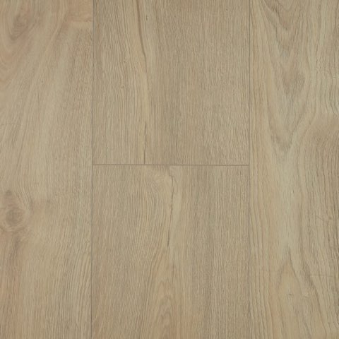 Elegant D40461