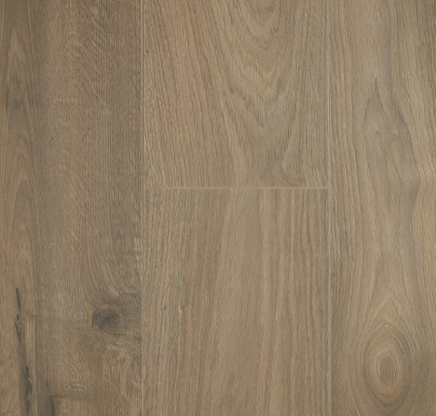 Forest D7093