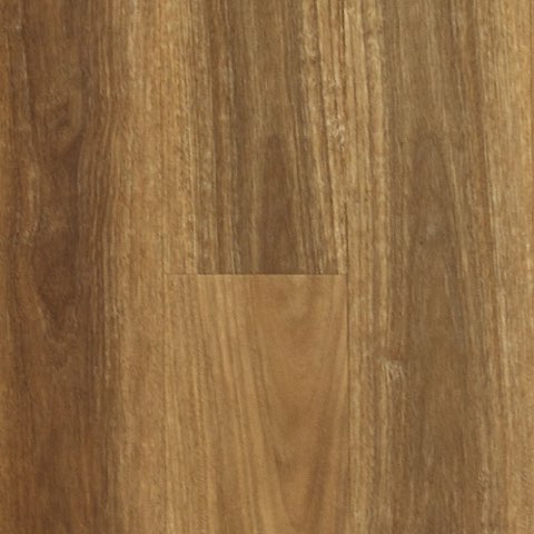 NSW Spotted Gum Spotted Gum