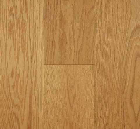 Forest Oak - Red Oak Blackbutt