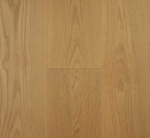 Golden Bloom - Red Oak Blackbutt