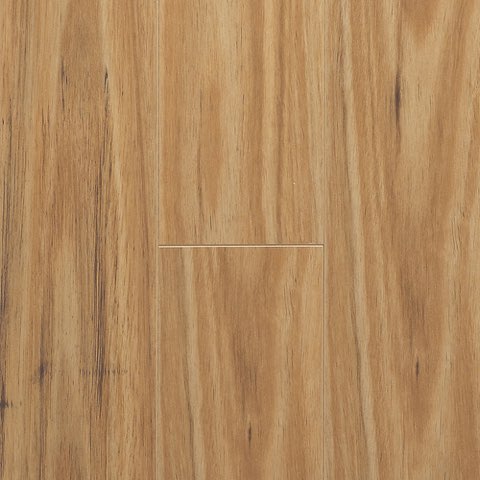 Blackbutt
