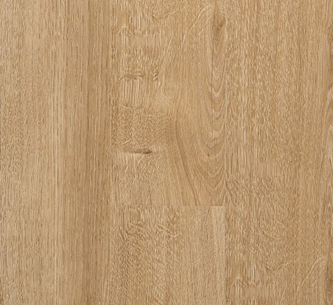 European Oak Ghost