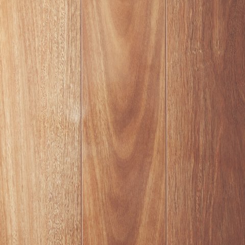 Mtn Spotted Gum
