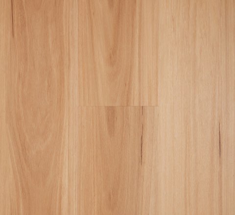 Coastal Blackbutt Latte