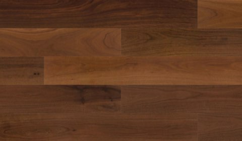Grey Iron Bark