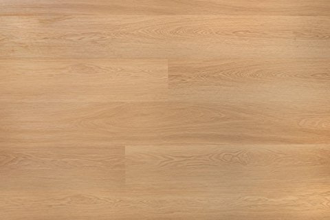 European Oak