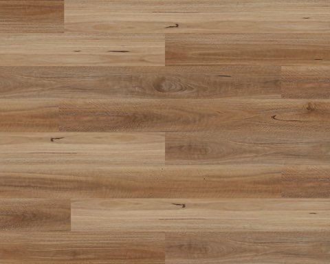 Spotted Gum hybrid plank