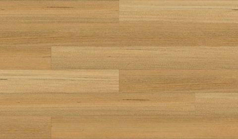Tasmanian Oak
