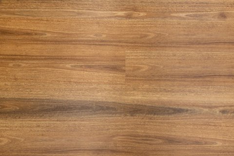 Spotted Gum