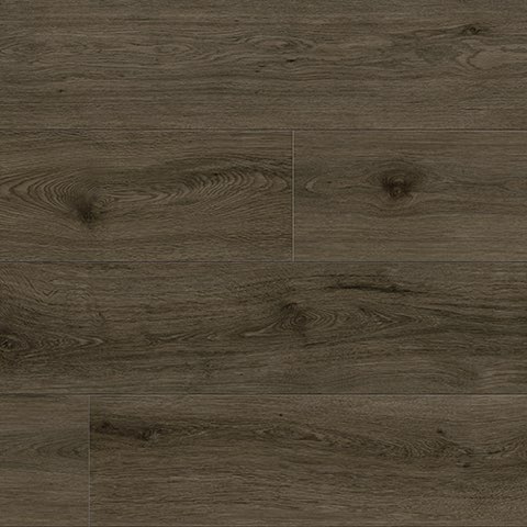 Anchor Grey