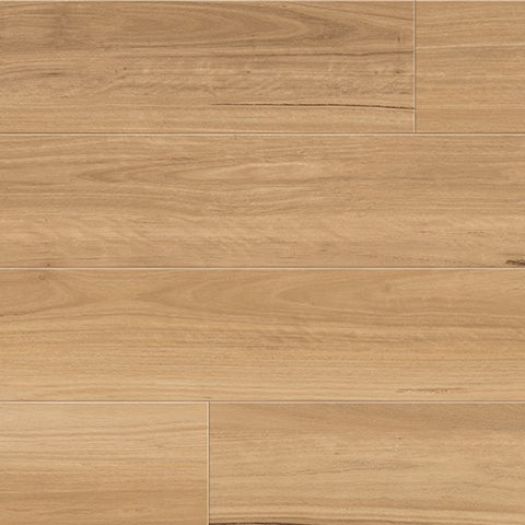 Coastal Blackbutt