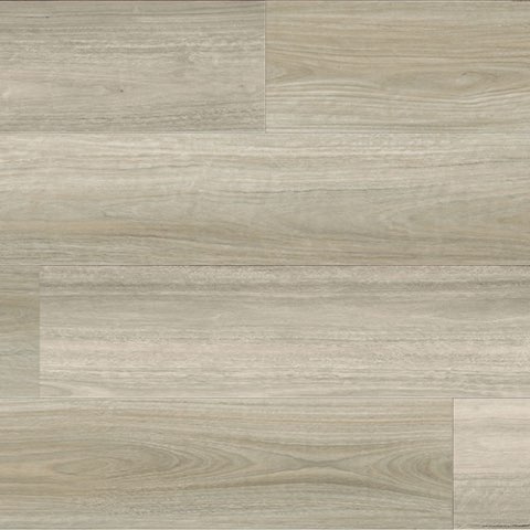 Lemon Scented Spotted Gum