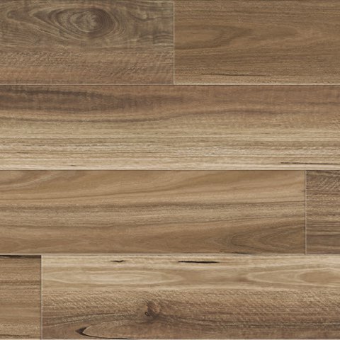 Native Spotted Gum