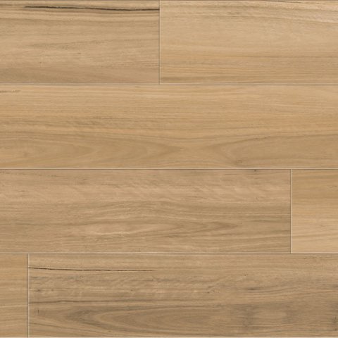NSW Blackbutt