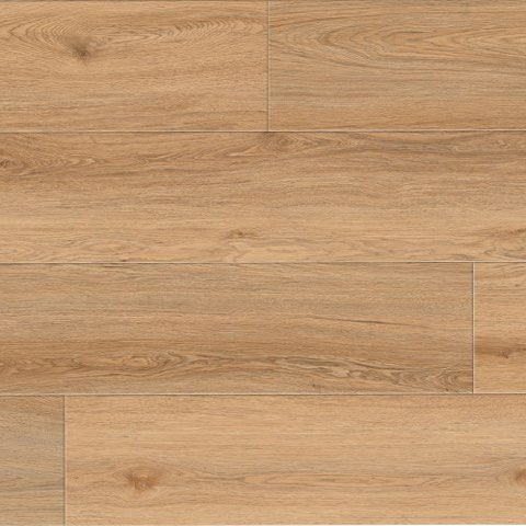 Sahara