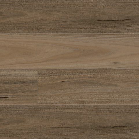 Country Spotted Gum