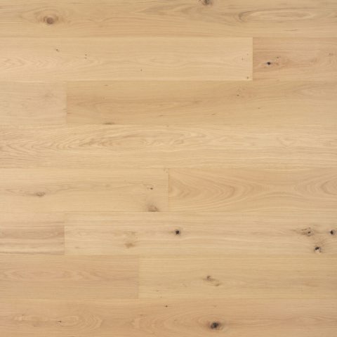 Solara