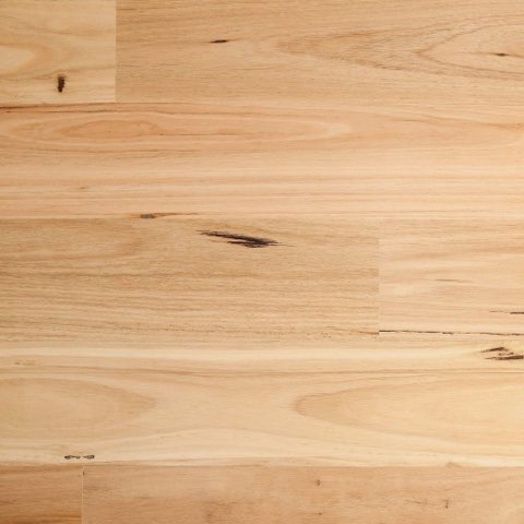Blackbutt - Matt & Brushed