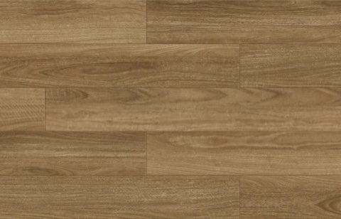 Spotted Gum