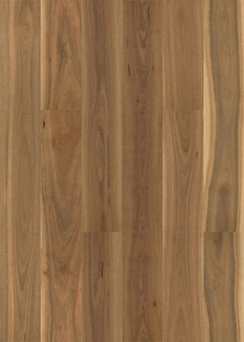 Brushed Spotted Gum